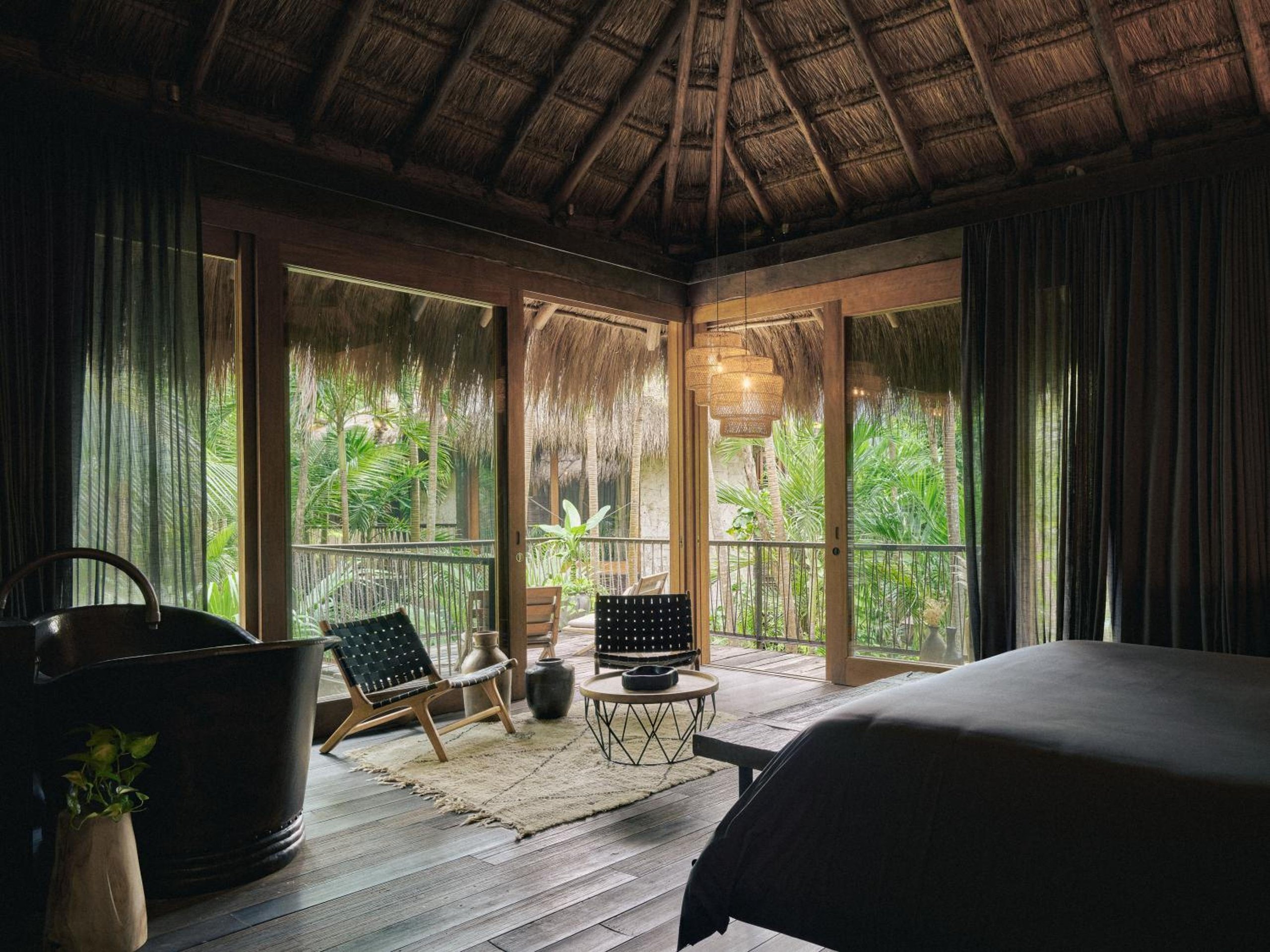 Suite Selva — 2