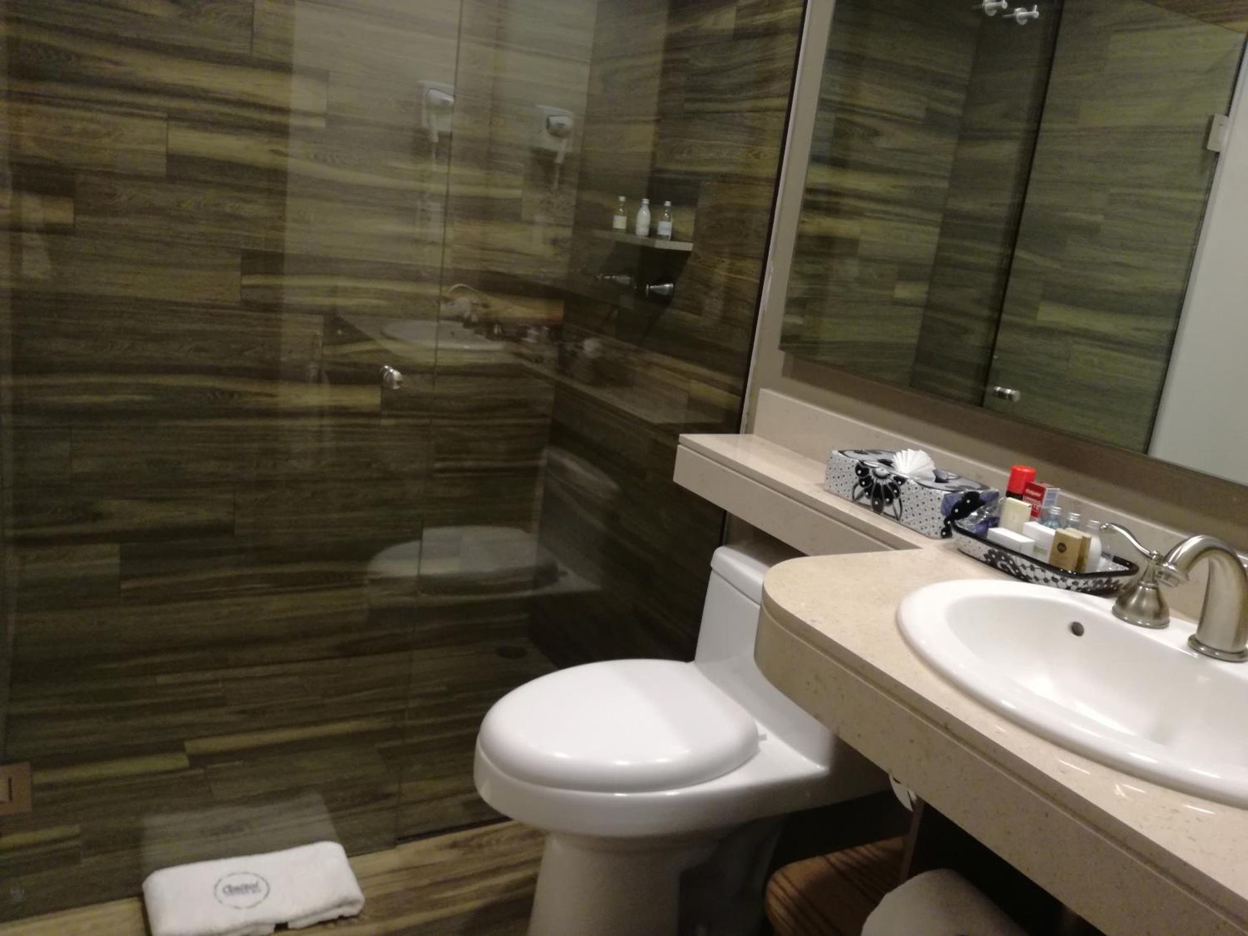 Suite Junior con Terraza — 4