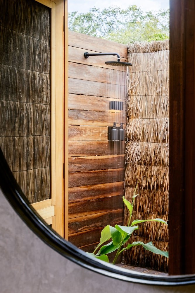 Room (Jungle) — 6