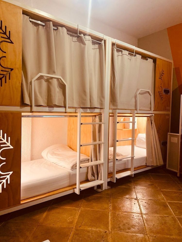 Cama en habitación Deluxe Compartida Mixta de 4 Camas — 3