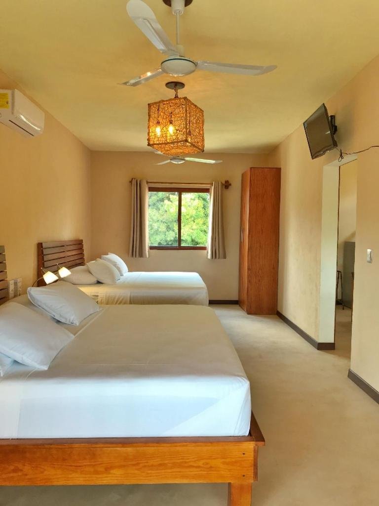 Junior Suite con terraza — 5