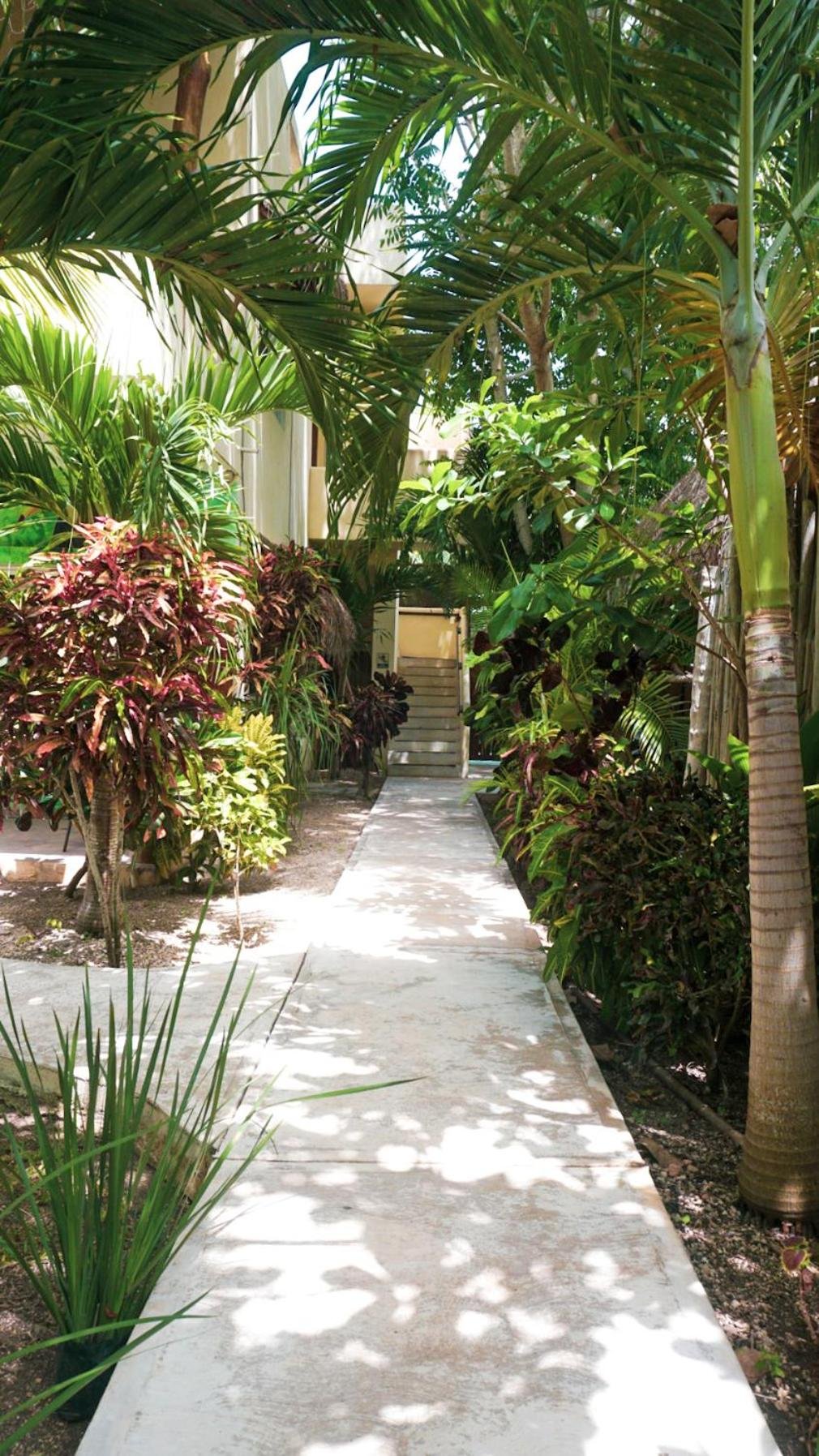 2 recámaras Apartment — 2
