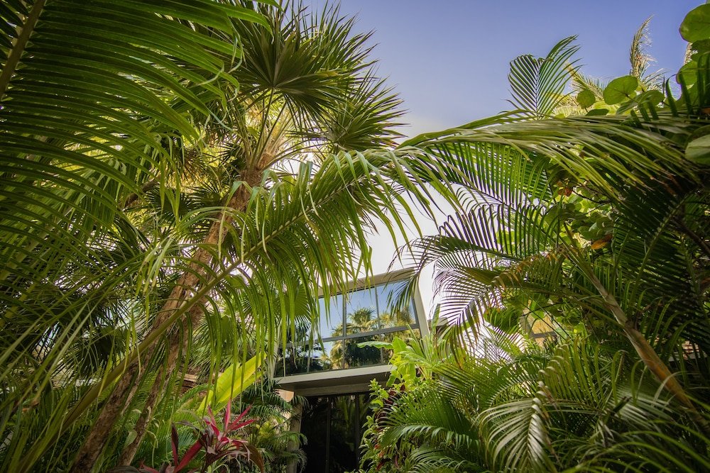 Junior Suite, vista al jardín — 8