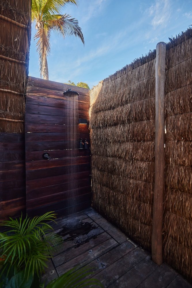 Room (Jungle) — 8