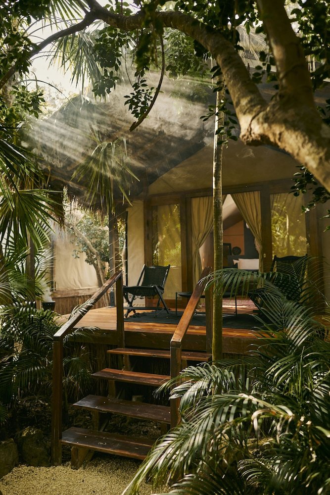 Room (Jungle) — 5