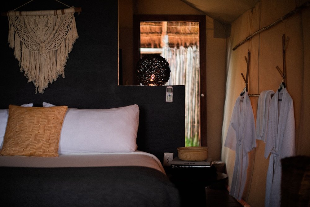 Room (Jungle) — 2