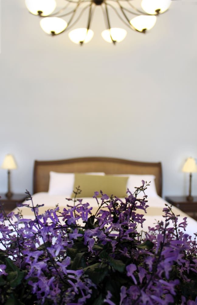 Suite de lujo (Terraza privada) — 6
