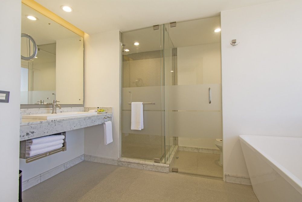 Habitación Premium, 1 cama King