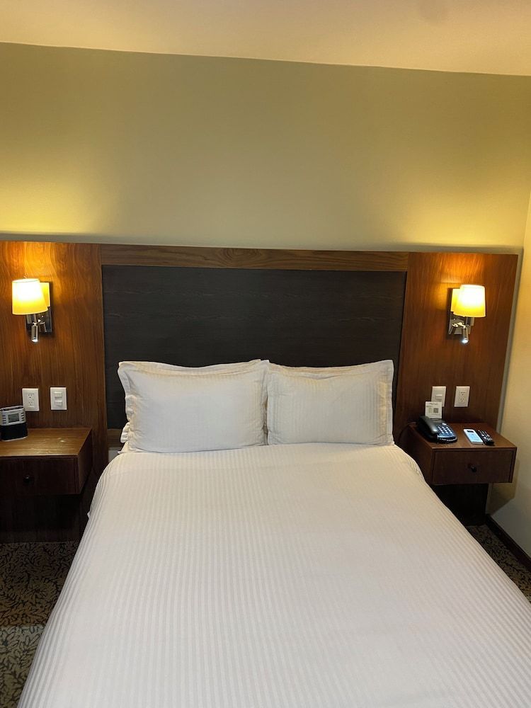 Suite, 1 cama doble — 4