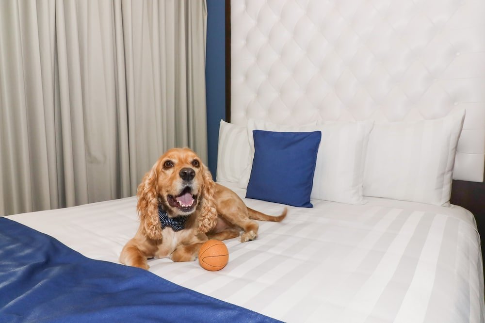 Luxury Habitación Doble, 2 camas Queen — 3