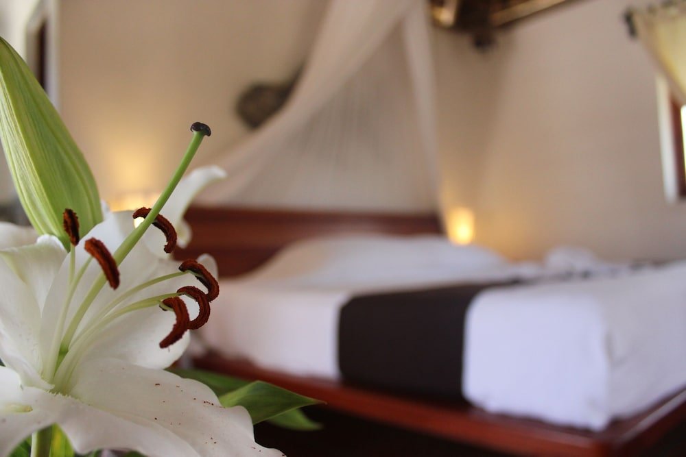 Room, 1 cama King, vista al mar — 8