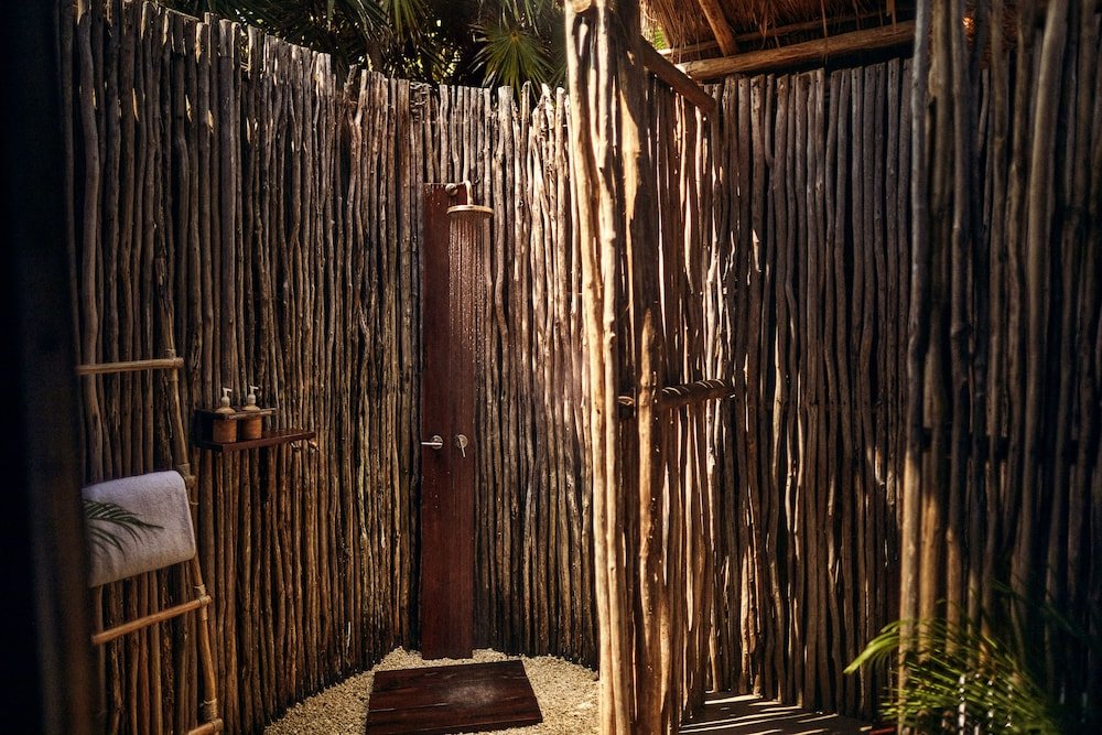 Room (Jungle) — 7