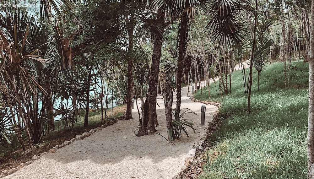 Jungle View Suite — 8